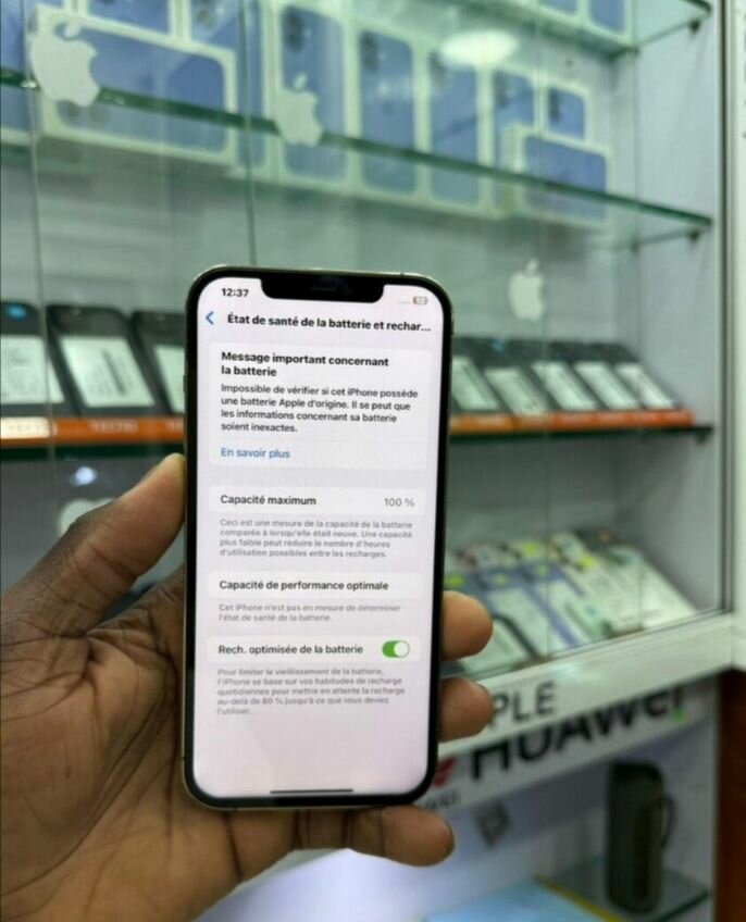 iPhone 13 Pro Max - 256 Go