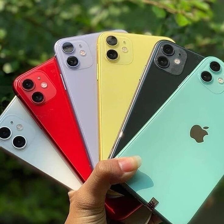 iPhone 11 Couleurs Variées