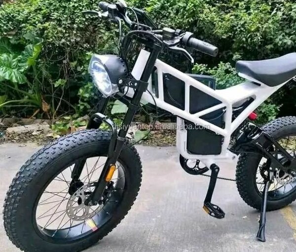 Vélo électrique tout-terrain