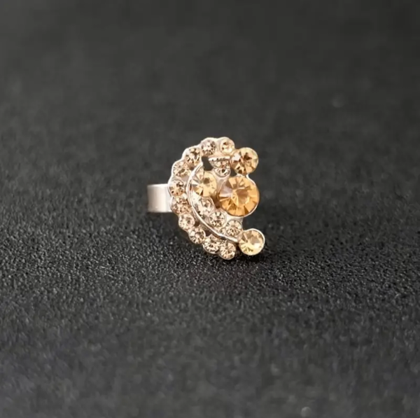 Boucles d'oreilles Élégantes