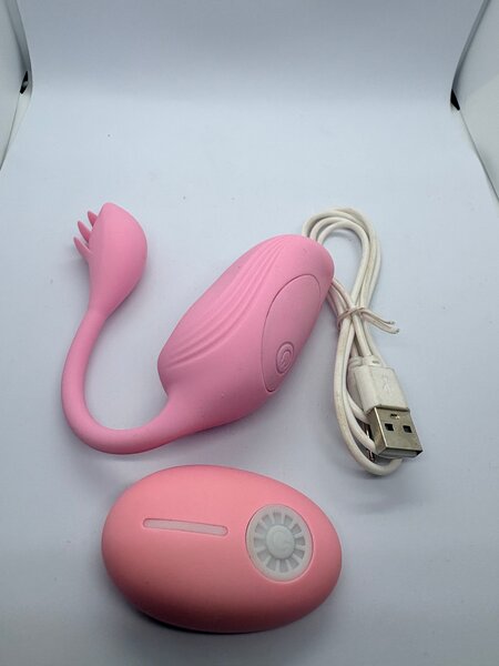 Œuf vibrant télécommandé USB