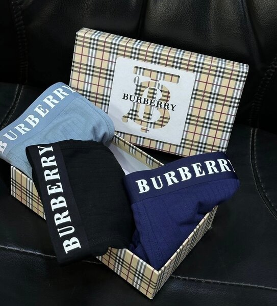 Lot de caleçons de marque