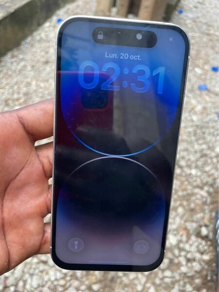 Smartphone 128GB Écran Large
