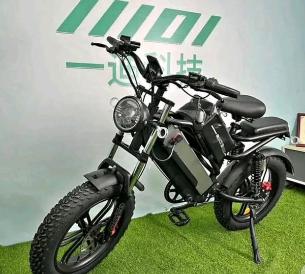 Vélo Électrique Tout Terrain