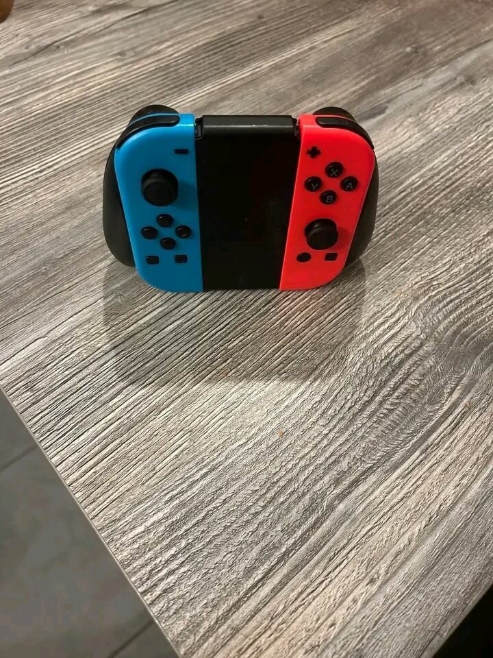 Nintendo Switch Lite avec Joy-Con
