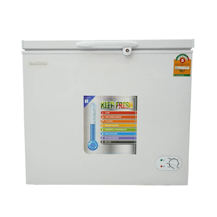 Congélateur coffre efficace 200L