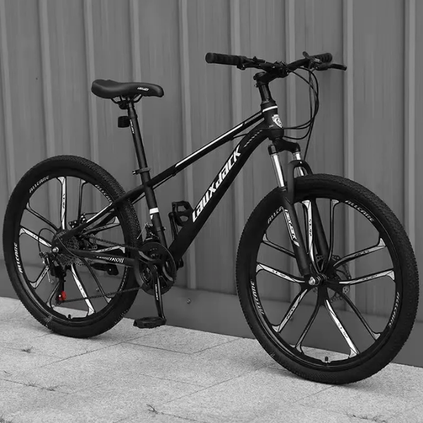 Vélo tout-terrain robuste