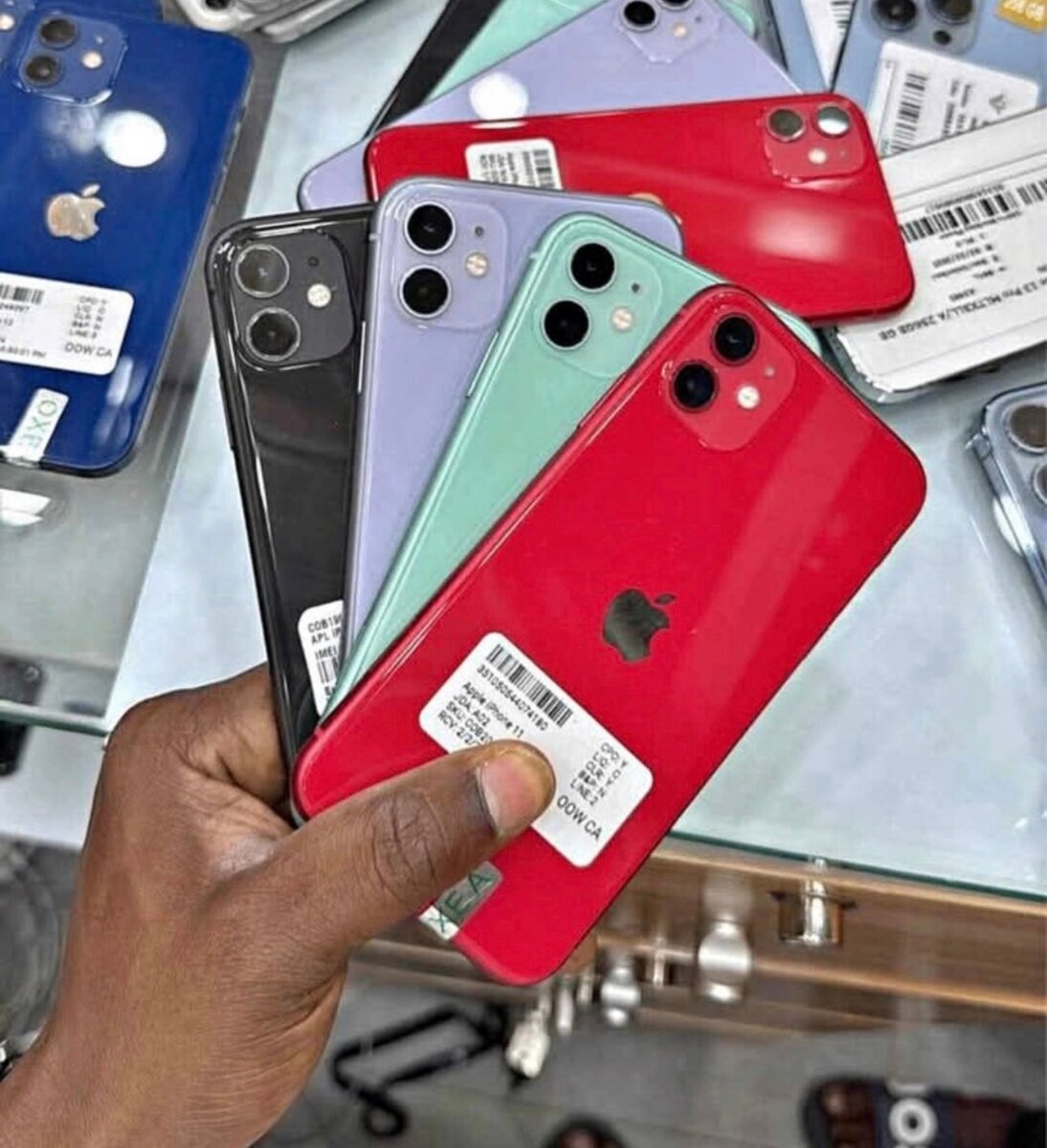 iPhone 11 Collection