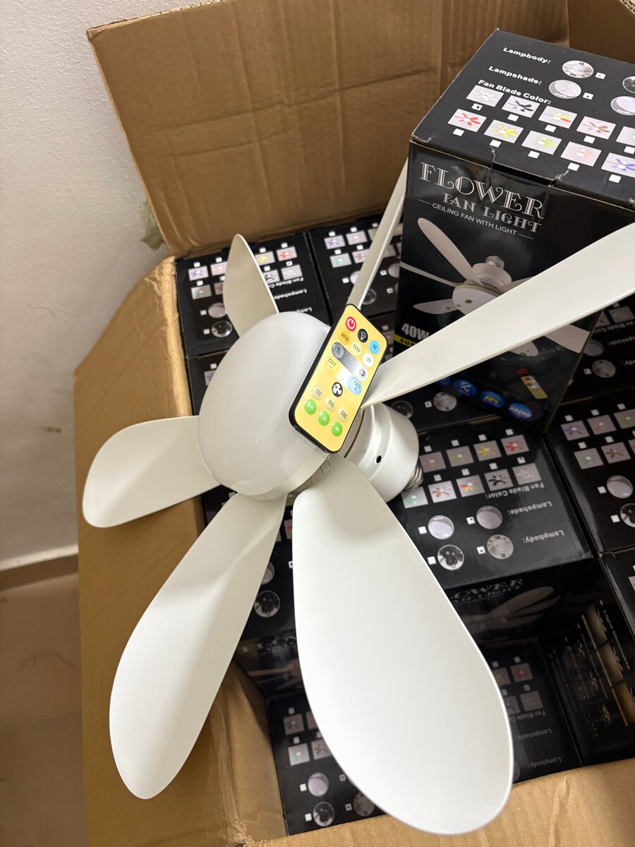 Ventilateur Plafond LED Silencieux