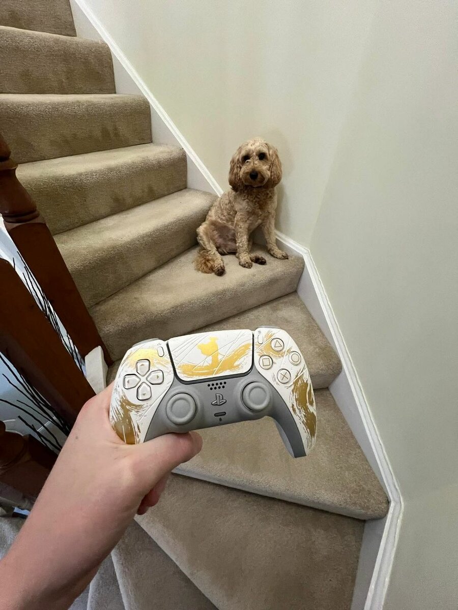 Manette de jeu élégante