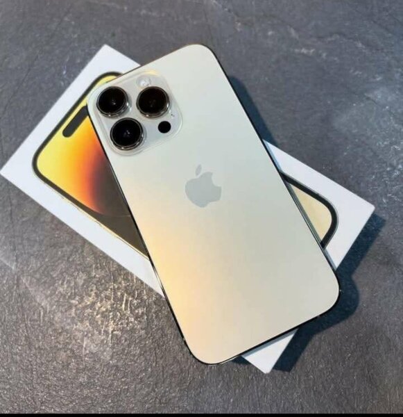 iPhone Argent Pro Max