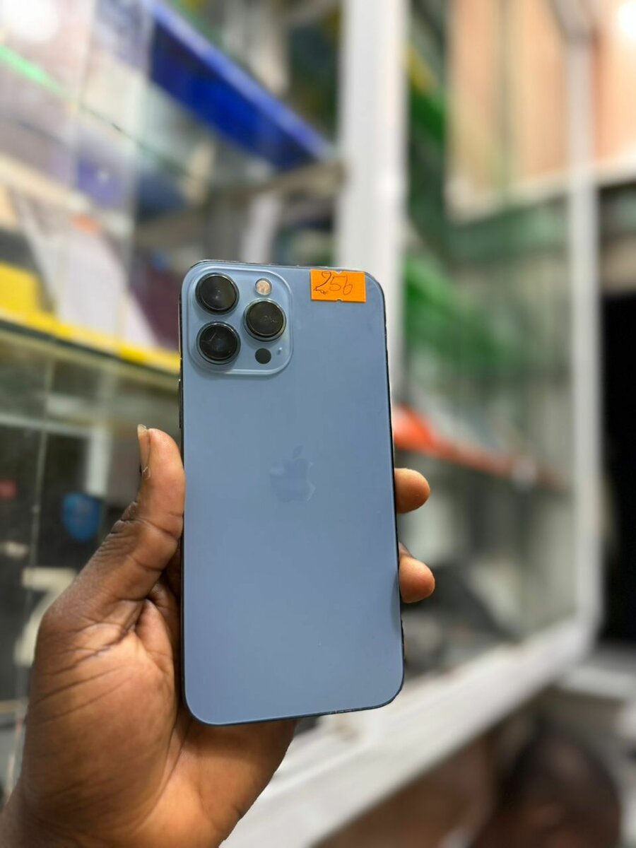 13Pro Max 256Go 2nd main