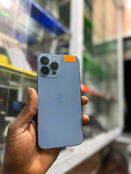 13Pro Max 256Go 2nd main