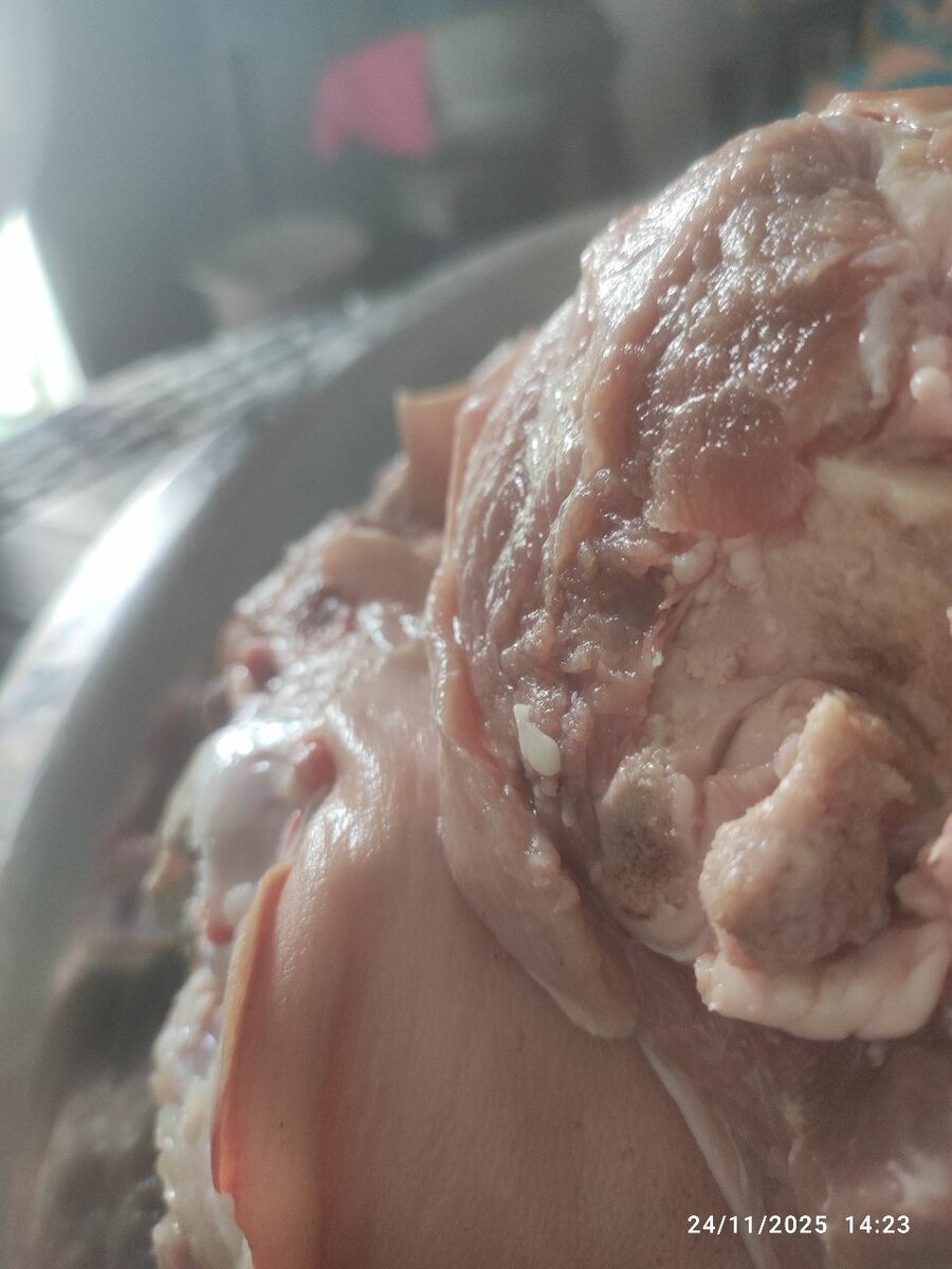 Épaule de porc fraîche