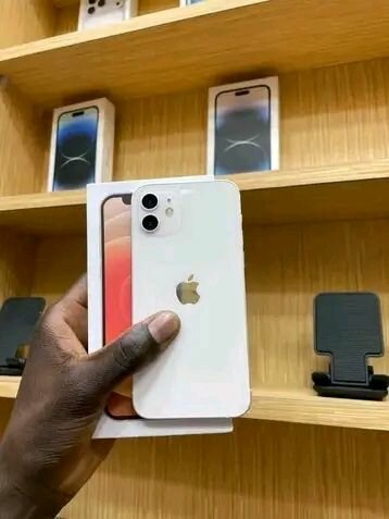 iPhone 11 Neuf Blanc 64Go