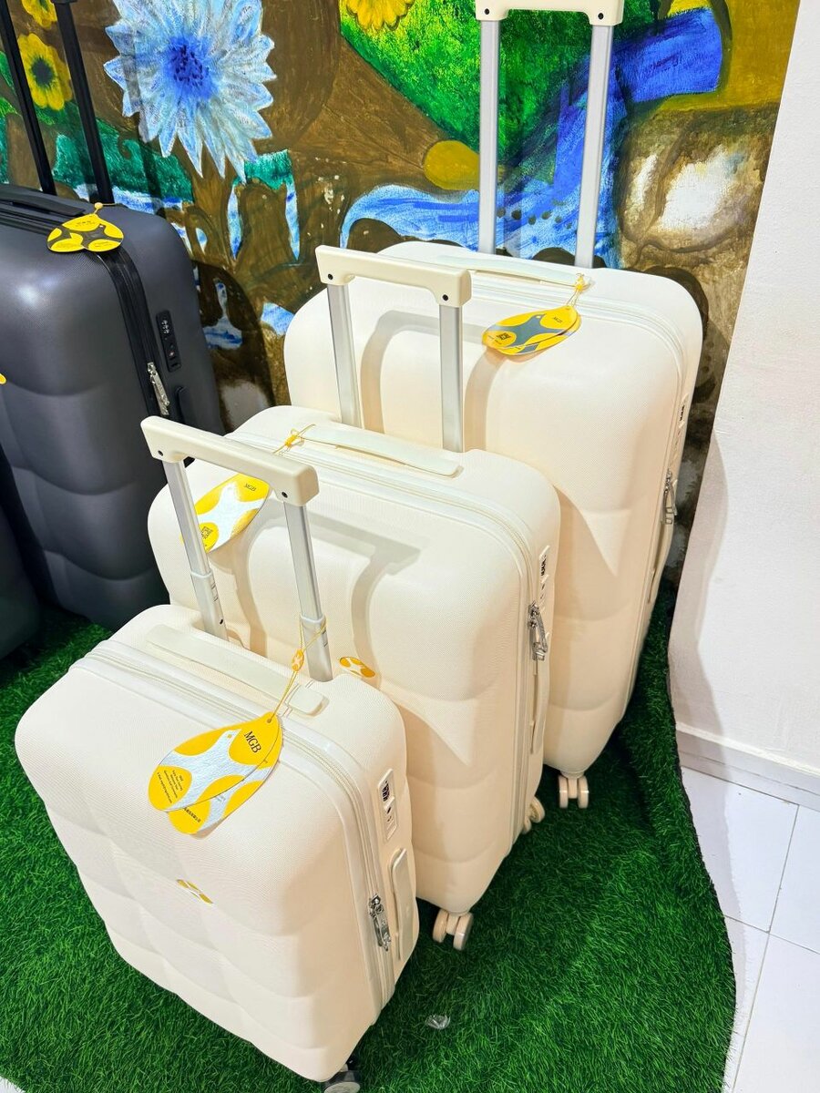 Valises à roulettes élégantes