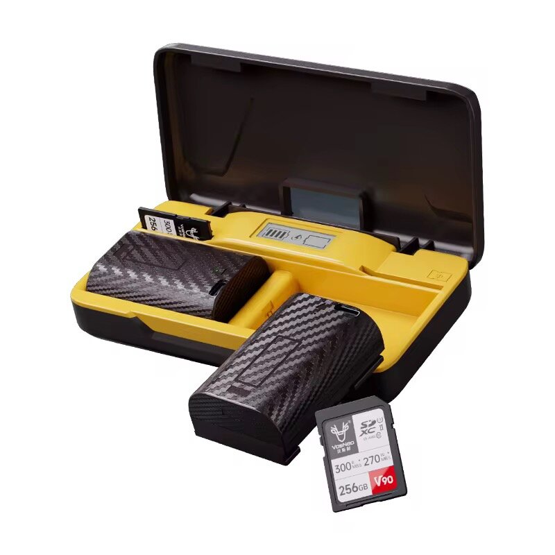 Chargeur de Batterie Dual