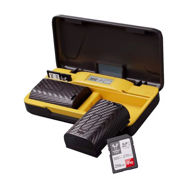 Chargeur de Batterie Dual