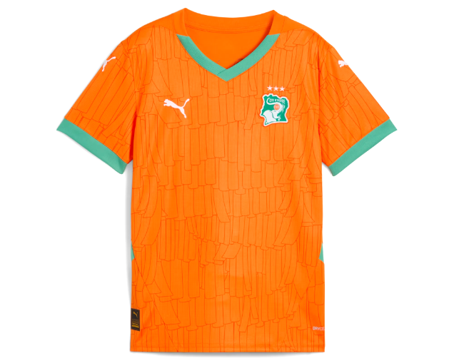 Maillot de Côte dIvoire Pro
