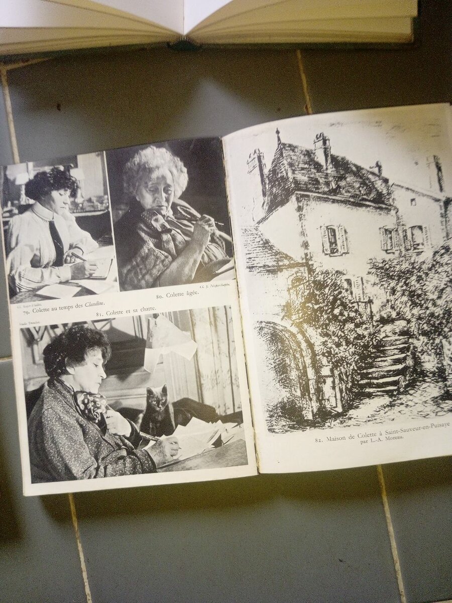 Collection Littéraire XXe Siècle