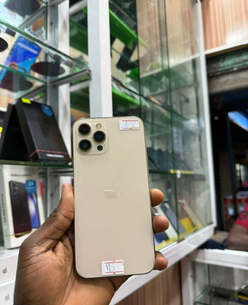 iPhone 12 Pro Max 264 giga