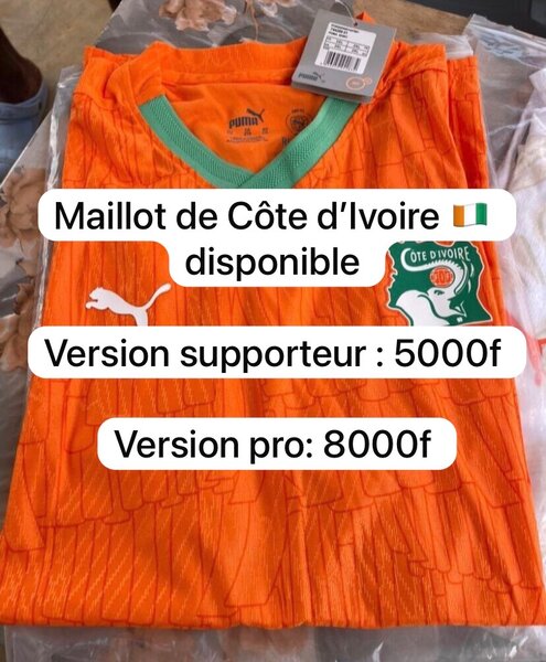 Maillot Côte d'Ivoire Puma