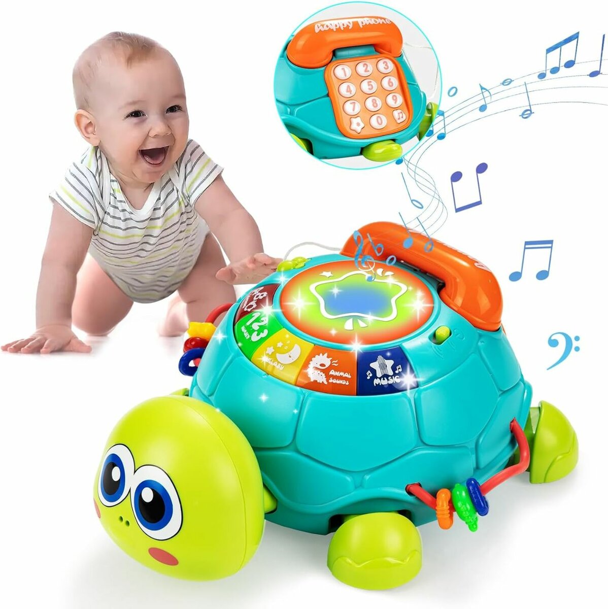 Tortue Musicale bébé