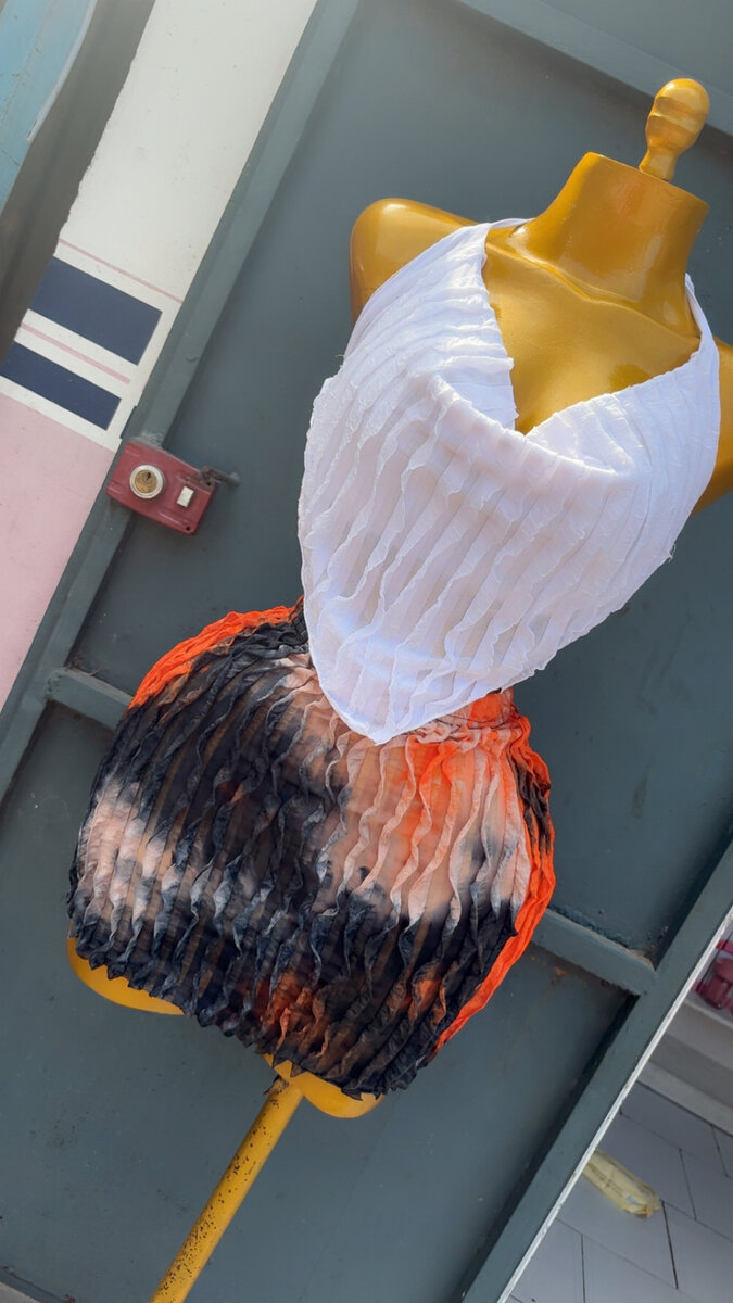 Robe plissée dégradée