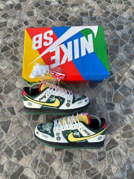 Chaussures Nike SB Colorées