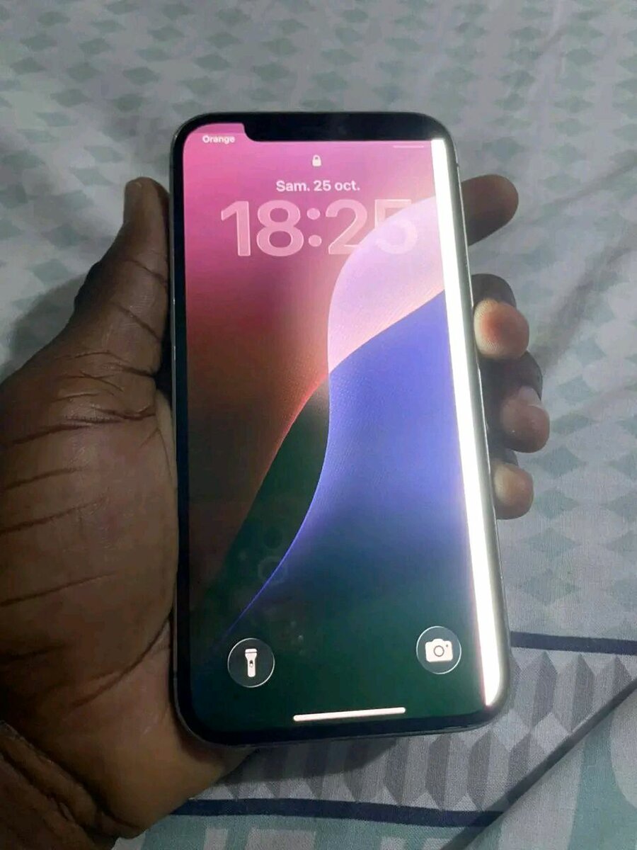 iPhone 12 Pro Max 128GB Argent