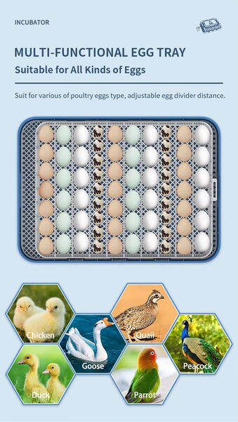 Couveuse automatique 70 œufs