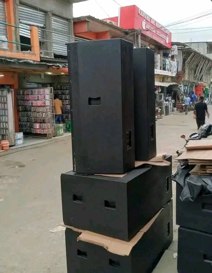 Enceinte professionnelle haut-parleur