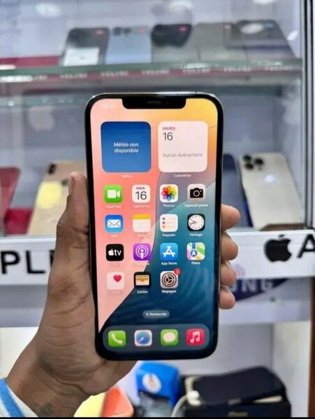 iPhone 13 Pro Max Blanc