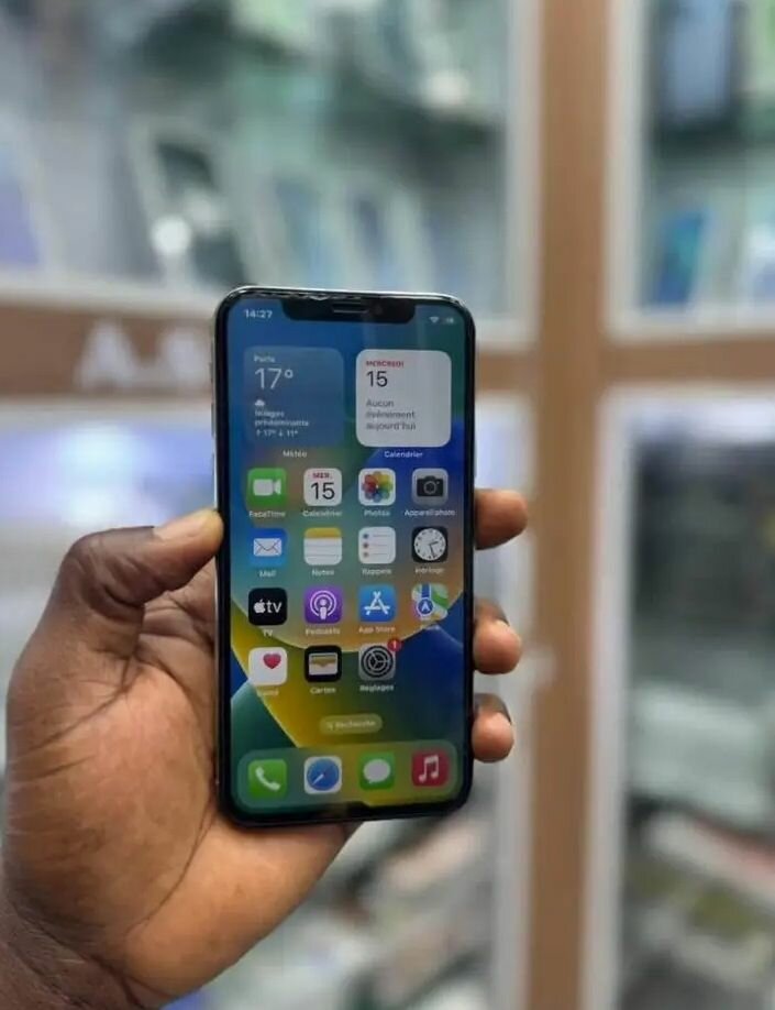 iPhone X Argent 256Go