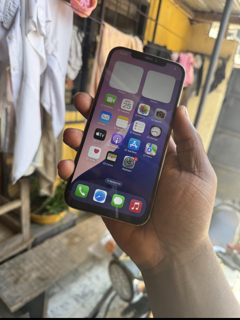 iPhone 12 Pro Max Argent