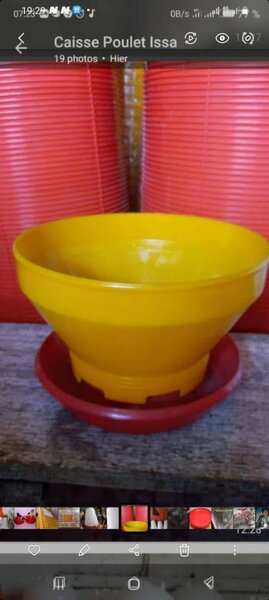 Mangeoire Poulet Jaune