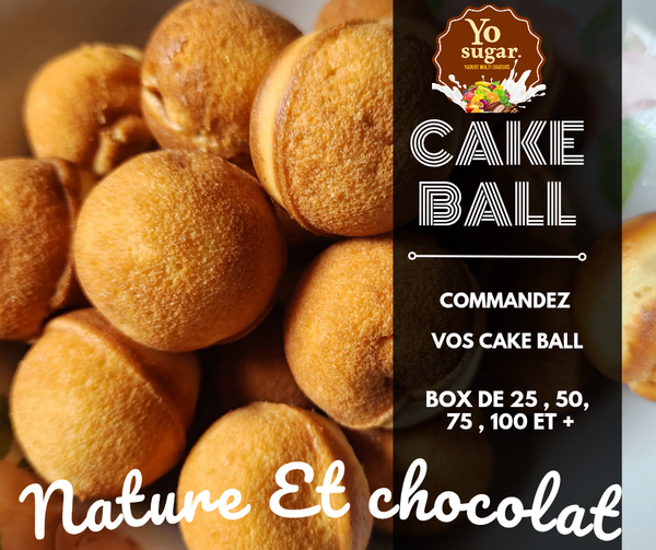 Délicieux Cake Balls nature