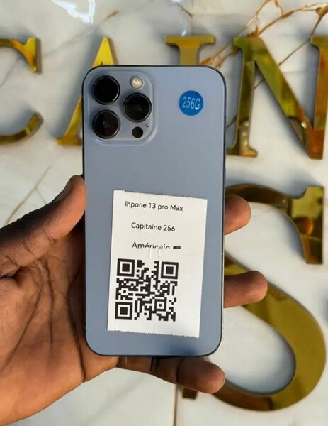 iPhone 13 Pro Max 256Go