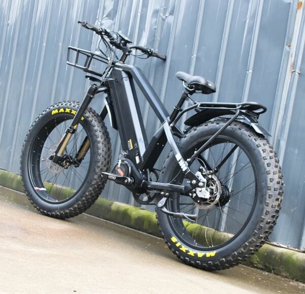 Vélo Électrique Tout-Terrain