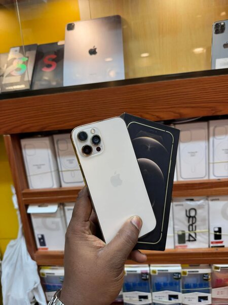 iPhone 12 Pro max Blanc