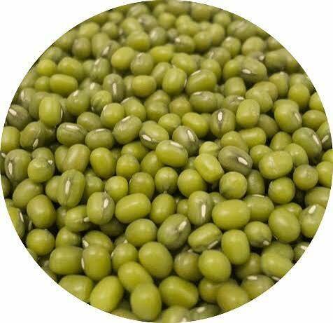 Haricots soja Vert Bio