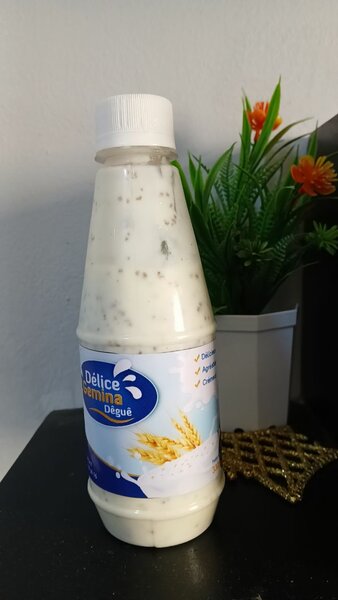 Délice Boisson Laitière Naturelle