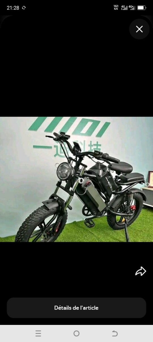 Vélo Électrique Pliable Tout-Terrain