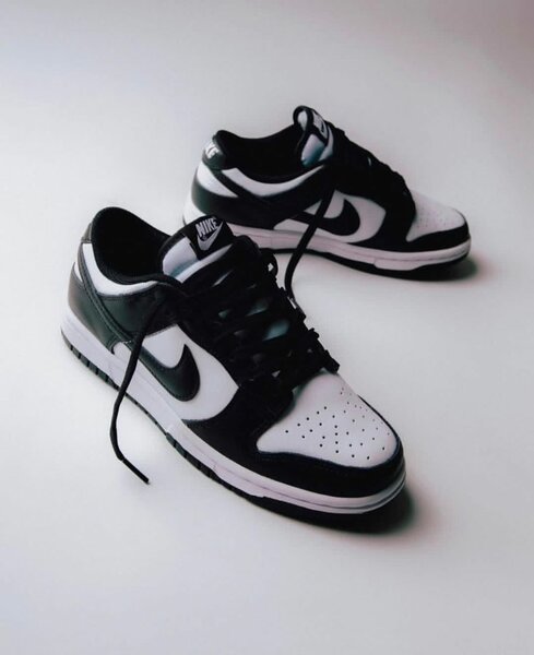 Nike sb