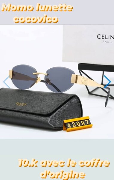 Lunettes de soleil élégantes