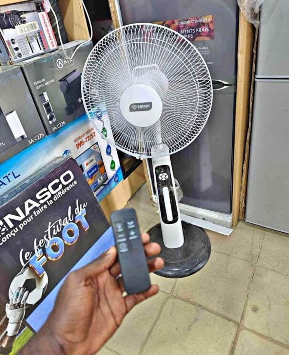 Ventilateur oscillant avec télécommande