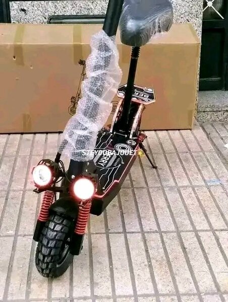 Trottinette Électrique Puissante