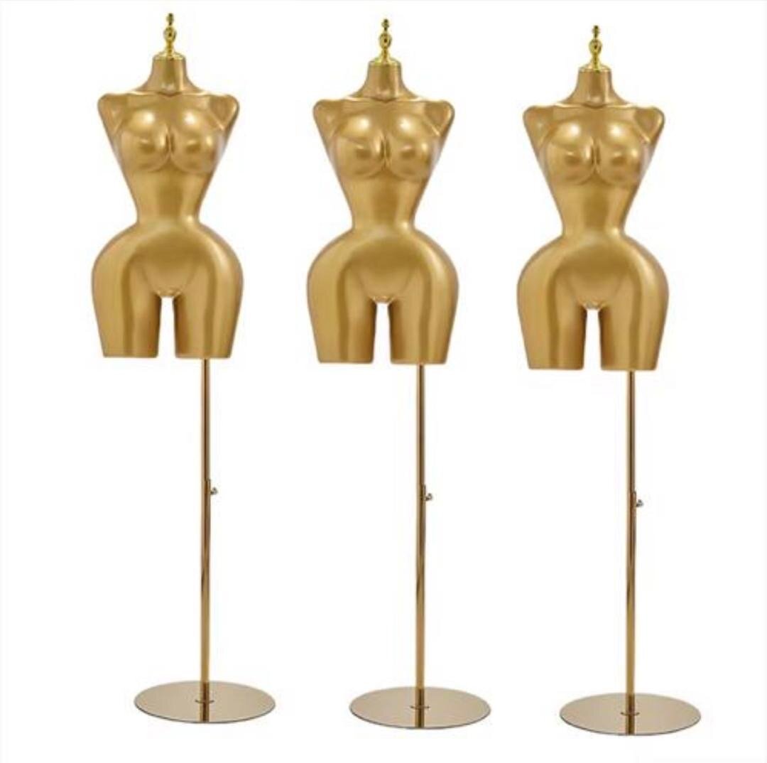 Mannequins élégants féminins