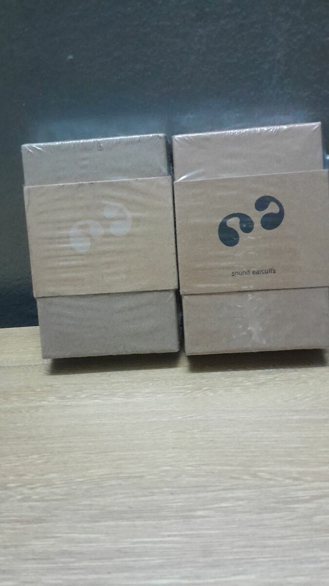 Écouteurs sans fil Sound EarCrafts