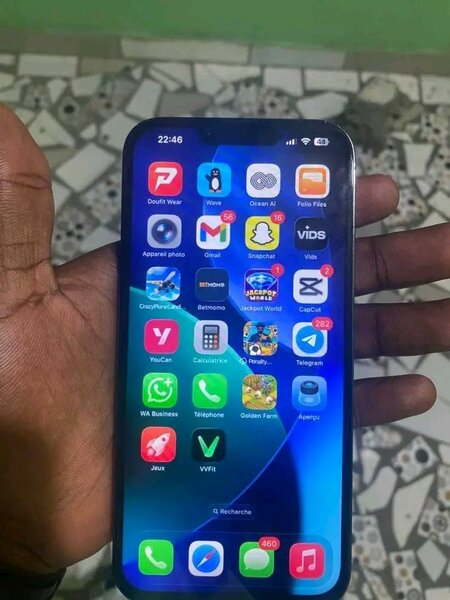 iPhone 13 Pro Max 256 Go